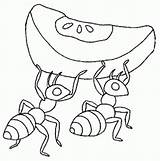 Hormigas Colorear Formiga Colorat Ants Hormiga Ant Furnici Fourmi Animale Formigas Planse P02 Trabajadora Fourmis Primiiani Tamanoir Altruisme Comportement Shs sketch template