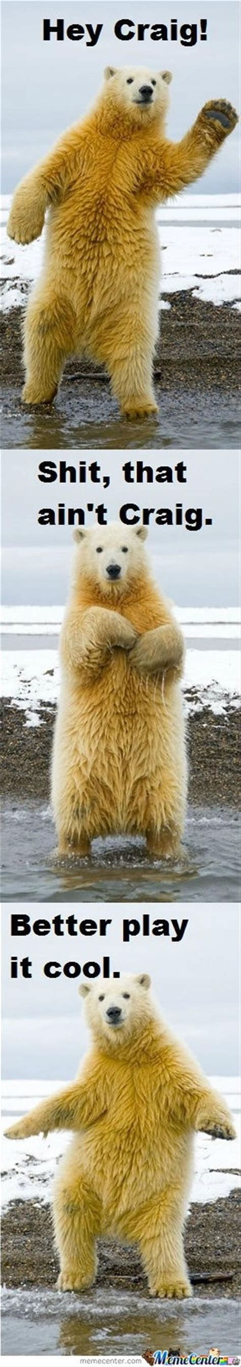 67 Best Images About Bear Humor On Pinterest Bear Meme Funny Bears