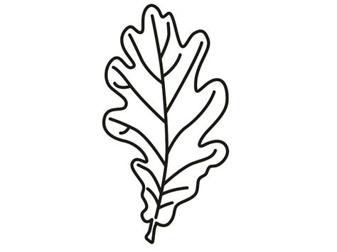 leaf coloring page   leaf coloring page leaf coloring coloring
