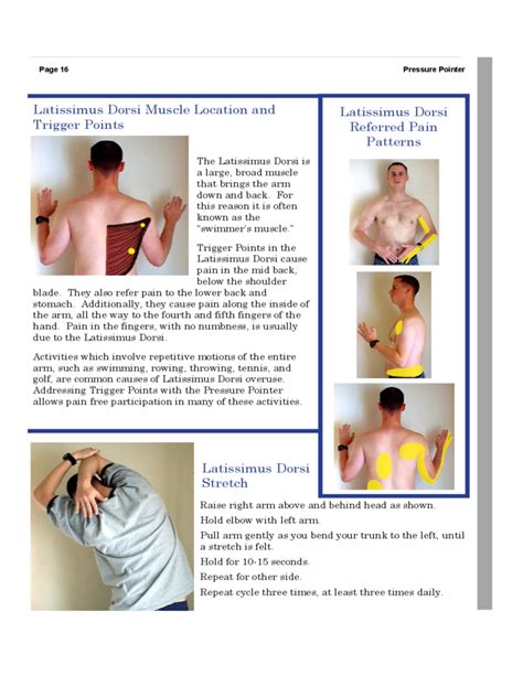 professional pressure point chart free download
