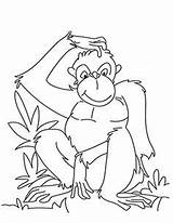 Affen Ausmalen Ausdrucken Ausmalbild Affe Schule Kleiner Lieblingsfarbe Vorschule Wasserschwein sketch template