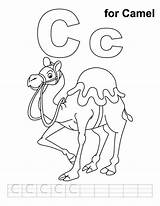 Dromadaire Handwriting Coloriage Camels Coloriages sketch template