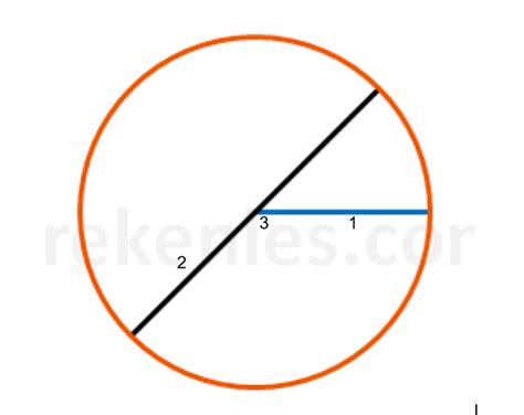 cirkel diagram quizlet