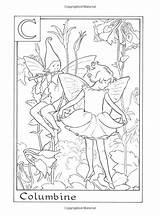 Coloring Fairies Barker Flower Mary Pages Cicely Book Adult Alphabet Colouring Books Amazon Fairy sketch template