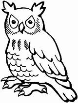 Coloring Pages Owls Super Clipartbest Owl Drawing Kids Line Clipart sketch template
