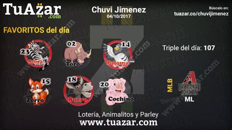 datos de loteria animalitos  parley    youtube