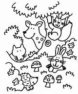 Coloring Forest Pages Animals Cute Kids sketch template