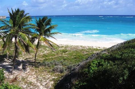 silver sands beaches in barbados barbados travel barbados beaches