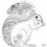 Squirrel Coloring Zentangle Pages Adorable Stock Cartoon Illustration Getcolorings Vector Categories sketch template