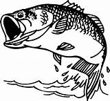 Bass Coloring Largemouth Jumping Pages Fish Fishing Clipart Clip Template sketch template