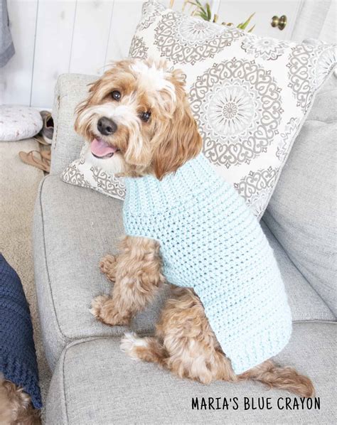 crochet dog sweater  pattern marias blue crayon