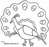 Hewan Mewarnai Sketsa Binatang Burung Menggambar sketch template