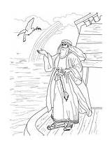 Arche Noahs Ausmalbilder Dove Schnabel Taube Kehrt Zweig Bibel sketch template