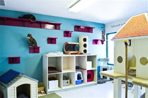 amazing cat room designs   inspiration cat play rooms cat