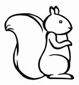Squirrel Coloring Outline Template Pattern Chipmunk Drawing Printable Kids Clipart Pages Simple Templates Draw Clip Print Color Marshmallow Baby Cute sketch template