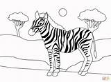 Coloring Zebra Pages Printable Drawing sketch template