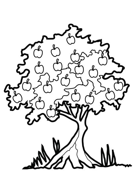 printable tree coloring pages  kids clipart  clipart