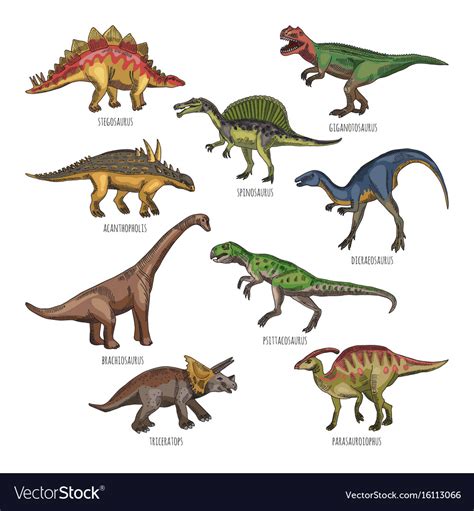 colored   dinosaurs types royalty  vector