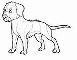 Argentino Dogo Lineart Puppy Deviantart sketch template
