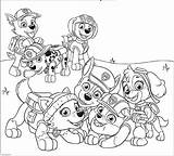 Paw Patrulla Canina Rubble 101coloring Colouring Zuma Everest Inspirations Chase Tracker Marshall sketch template
