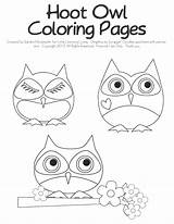 Owl Owls Learning sketch template