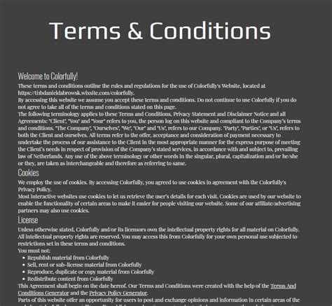 website project terms condition