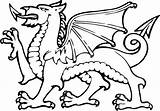 Welsh Dragons Cymru Mythical Celtic Ie sketch template