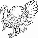 Turkey Color Coloring Pages Printable Kids sketch template