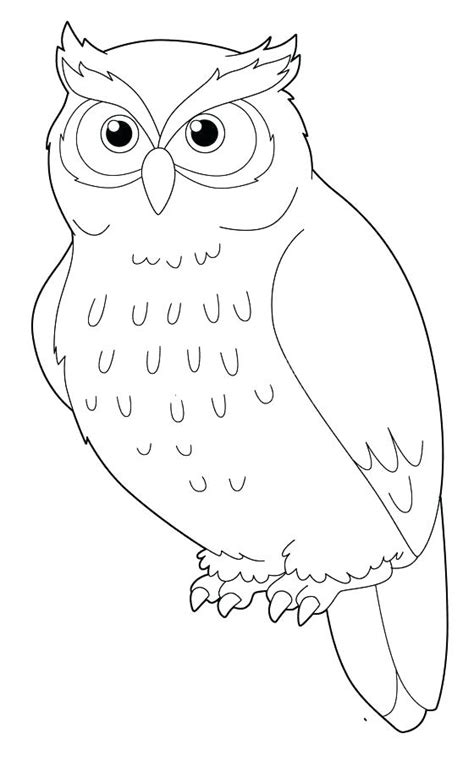 snowy owl drawing  getdrawings