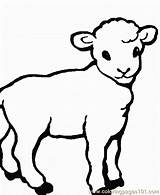 Colorat Lamb Miel Plansa Cordeiro Sfatulmamicilor Oita Planse Paste Mielul Pascal Sheets Frumusica sketch template