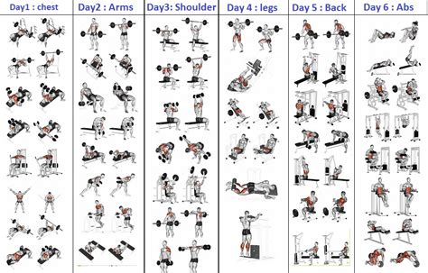 top  day workout routine  man bodydulding