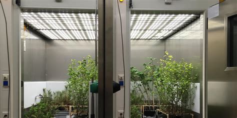 Phytotron Facility | Physiological Plant Ecology