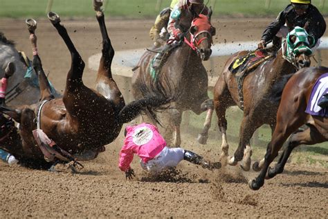 horse racing  horse killing