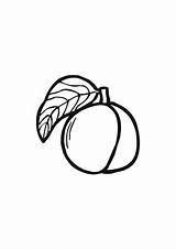 Pfirsich Blatt Ausmalbild Ausdrucken Ausmalbilder Obst Apfel sketch template