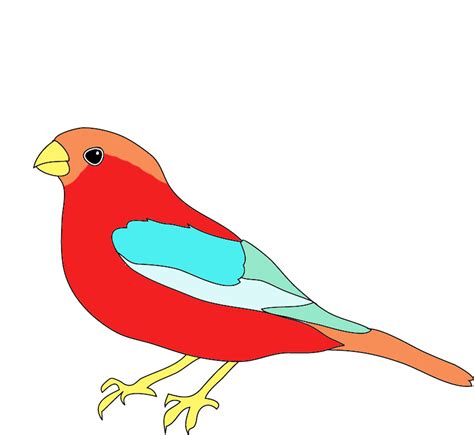 colorful drawings  birds