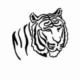 Head Coloring Tiger Surfnetkids sketch template