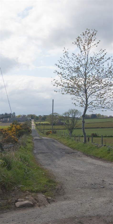 long road  cairnton farm  bill harrison cc  sa geograph britain  ireland