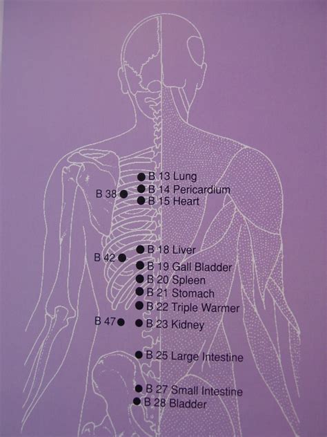 pain relief acupressure points   healing acupressure points