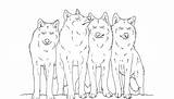 Wolf Coloring Pages Pack Printable Animal Color Clipart Popular Library Line Coloringhome sketch template