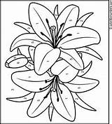 Painting Acrylic Glass Anderson Angela Coloring Pages Flower Lily Patterns Traceables Designs Paint Drawings Sherpa Easy Paintings Templates Traceable Color sketch template