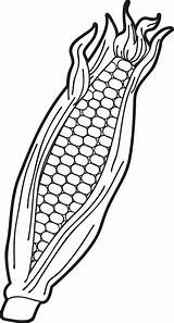 Corn Clipart Coloring Stalk Pages Library sketch template