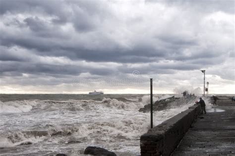 sea storm   shore stock photo image  power extreme