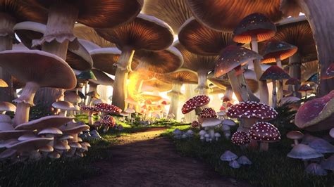 alice  wonderland mushroom forest  mushroom info