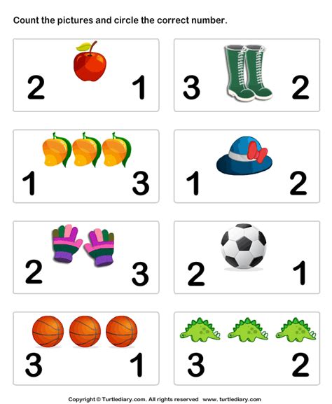count pictures  circle worksheet turtle diary