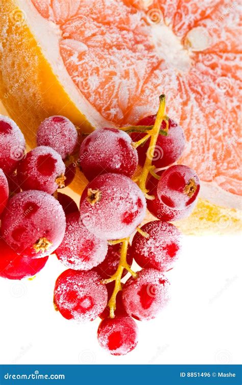 fruit  ice stock photo image  blend drop citrus