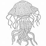 Zentangle Jellyfish Meduse Stylized Kleurplaat Kwal Gestileerde Stockillustratie Vettoriale Kwallen Stilizzate Stilizzato Antistress Adulti sketch template