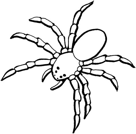 gallery  spider coloring pages  kids