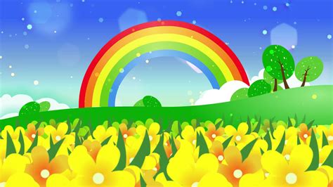 field  yellow wildflowers   rainbow   background  stock video