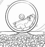 Hamster Coloring Pages Pets Printable Pet Cute Wheel Dwarf Color Kids Drawing Print Getcolorings Getdrawings sketch template