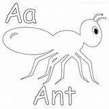 Ant Coloring Getdrawings Hill sketch template